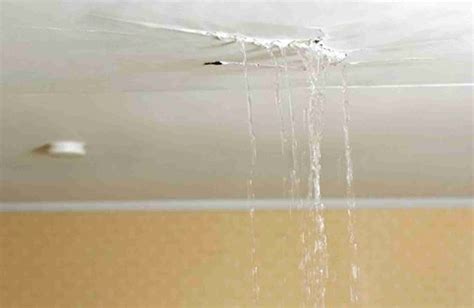 How to Handle Your Apartment Ceiling Leak